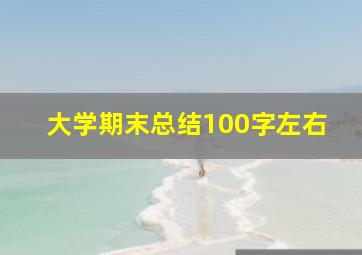 大学期末总结100字左右