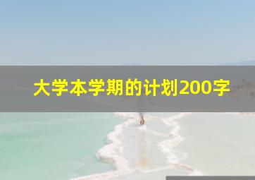 大学本学期的计划200字