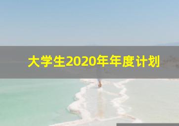 大学生2020年年度计划