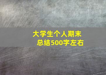 大学生个人期末总结500字左右