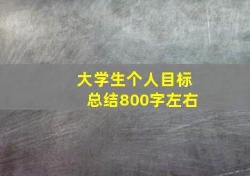 大学生个人目标总结800字左右