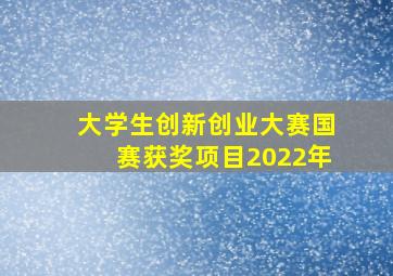 大学生创新创业大赛国赛获奖项目2022年