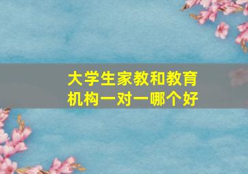 大学生家教和教育机构一对一哪个好