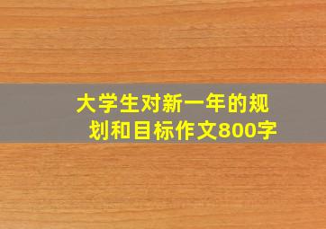 大学生对新一年的规划和目标作文800字