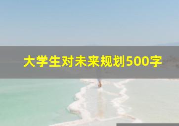 大学生对未来规划500字