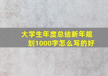 大学生年度总结新年规划1000字怎么写的好