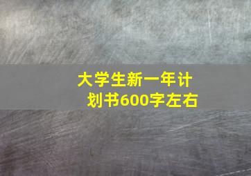 大学生新一年计划书600字左右