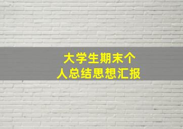 大学生期末个人总结思想汇报