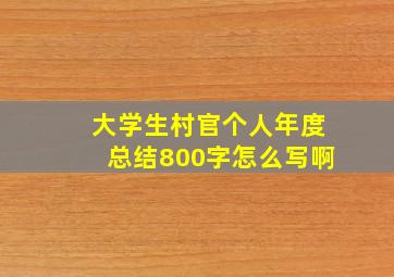 大学生村官个人年度总结800字怎么写啊