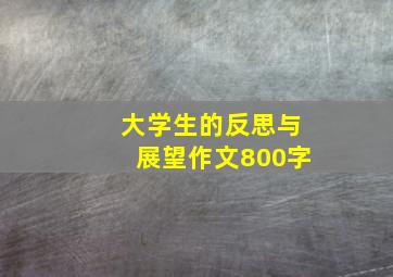 大学生的反思与展望作文800字