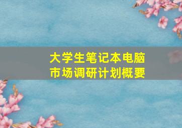 大学生笔记本电脑市场调研计划概要