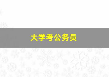 大学考公务员