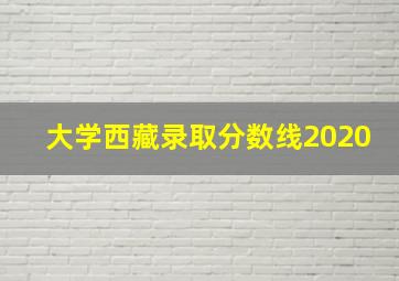 大学西藏录取分数线2020