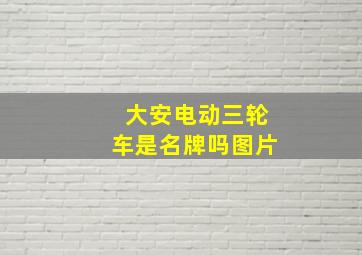 大安电动三轮车是名牌吗图片