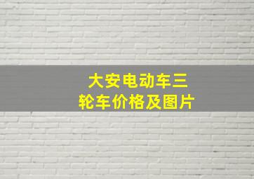 大安电动车三轮车价格及图片