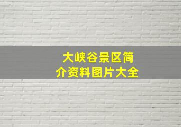 大峡谷景区简介资料图片大全