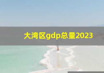 大湾区gdp总量2023