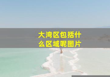 大湾区包括什么区域呢图片