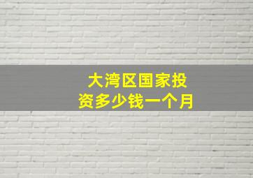 大湾区国家投资多少钱一个月