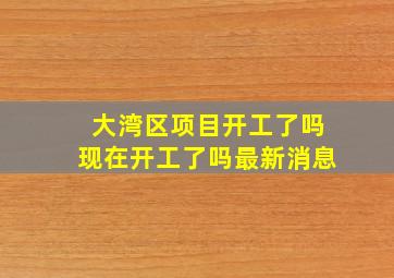 大湾区项目开工了吗现在开工了吗最新消息