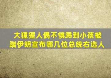 大猩猩人偶不慎踢到小孩被踹伊朗宣布哪几位总统右选人