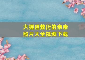 大猩猩敷衍的亲亲照片大全视频下载