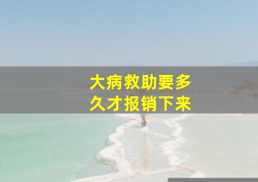 大病救助要多久才报销下来