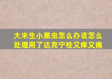 大米生小黑虫怎么办该怎么处理用了达克宁栓又痒又痛