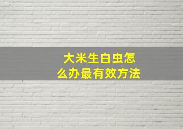 大米生白虫怎么办最有效方法