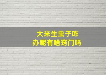 大米生虫子咋办呢有啥窍门吗