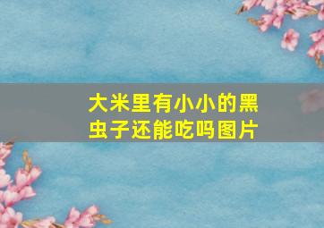 大米里有小小的黑虫子还能吃吗图片