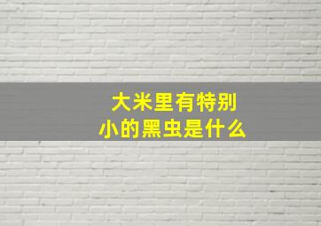 大米里有特别小的黑虫是什么