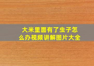 大米里面有了虫子怎么办视频讲解图片大全