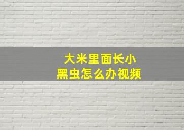 大米里面长小黑虫怎么办视频