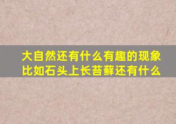 大自然还有什么有趣的现象比如石头上长苔藓还有什么