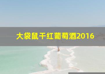 大袋鼠干红葡萄酒2016