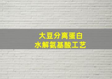 大豆分离蛋白水解氨基酸工艺