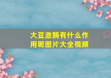 大豆激酶有什么作用呢图片大全视频