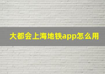 大都会上海地铁app怎么用