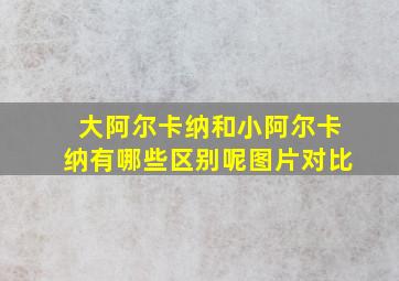 大阿尔卡纳和小阿尔卡纳有哪些区别呢图片对比