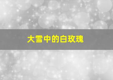 大雪中的白玫瑰