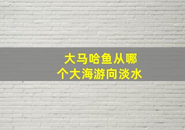 大马哈鱼从哪个大海游向淡水