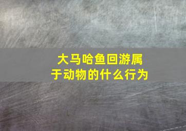 大马哈鱼回游属于动物的什么行为