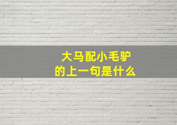 大马配小毛驴的上一句是什么