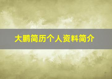 大鹏简历个人资料简介