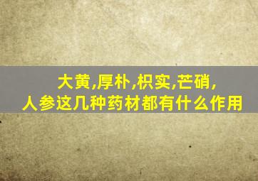 大黄,厚朴,枳实,芒硝,人参这几种药材都有什么作用