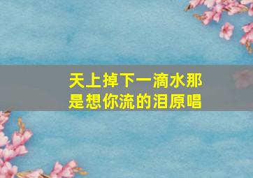 天上掉下一滴水那是想你流的泪原唱