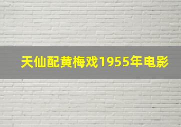 天仙配黄梅戏1955年电影