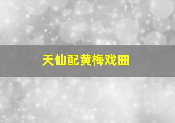 天仙配黄梅戏曲