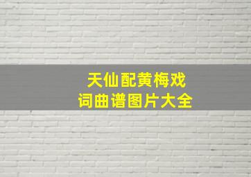 天仙配黄梅戏词曲谱图片大全